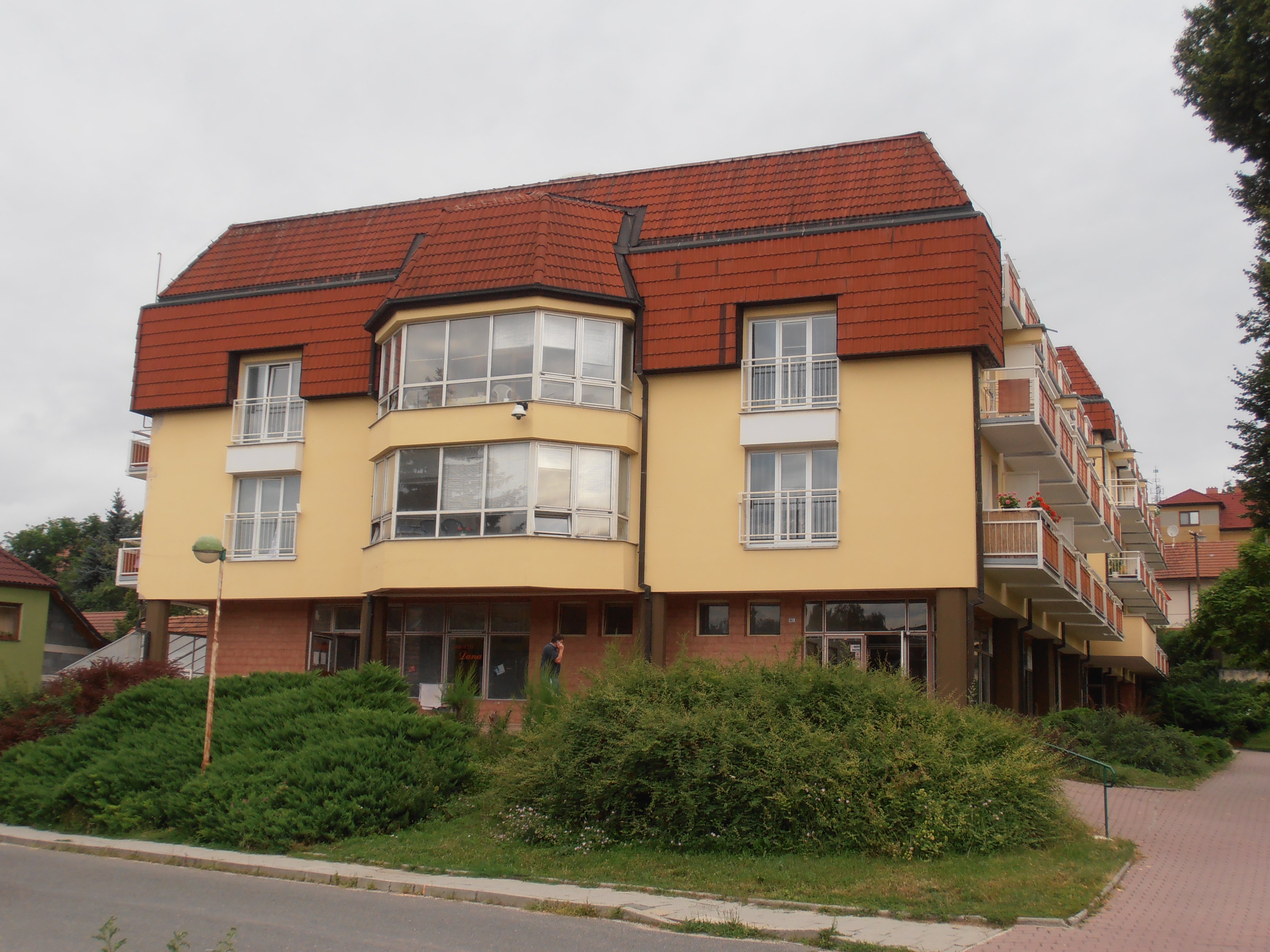 Sociální služby Města Bojkovice, příspěvková organizace, Pečovatelská služba, Sociální služby Města Bojkovice, příspěvková organizace