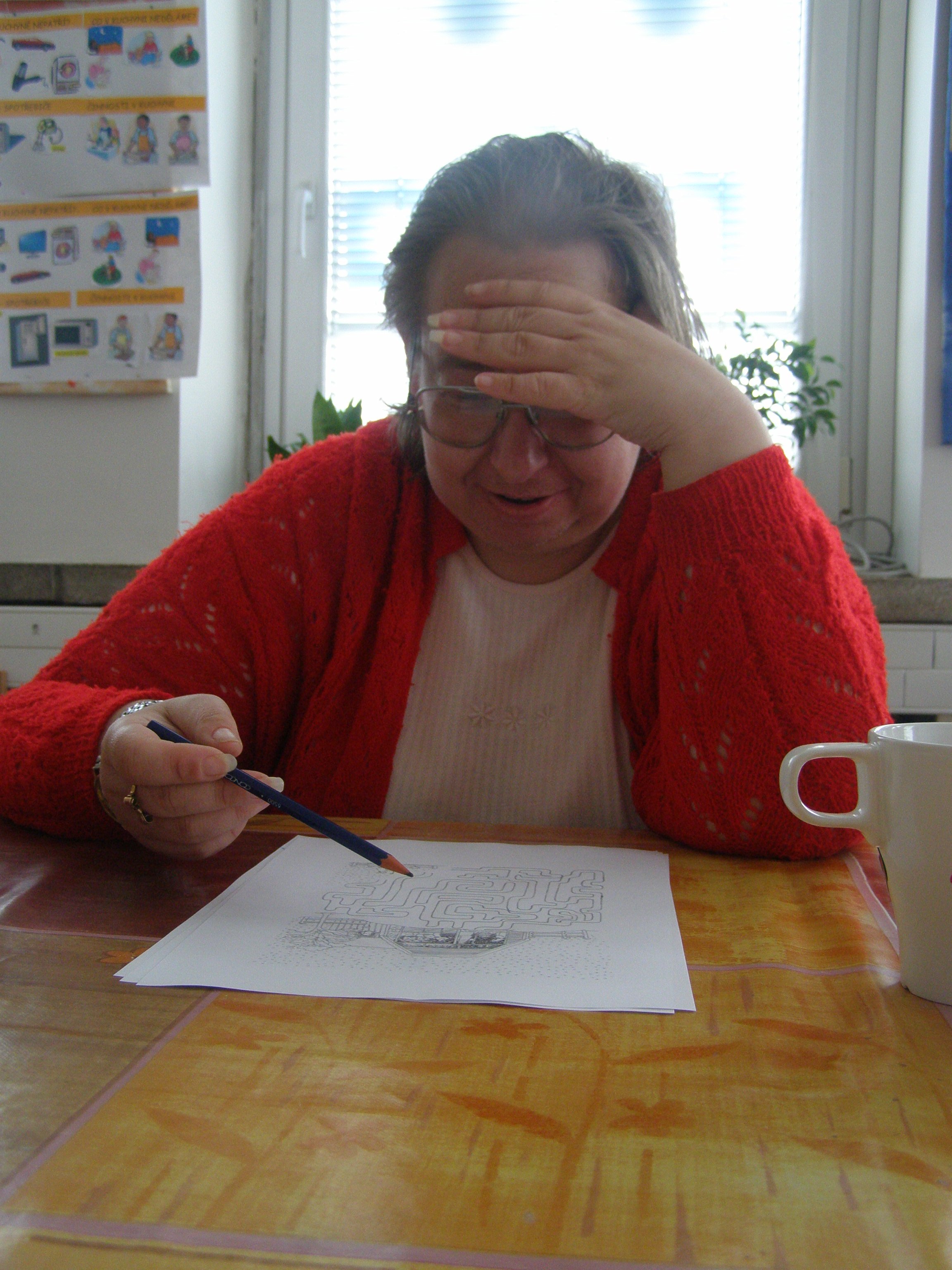 Sociální rehabilitace Elim, Sociální rehabilitace, Elim Vsetín, o.p.s.