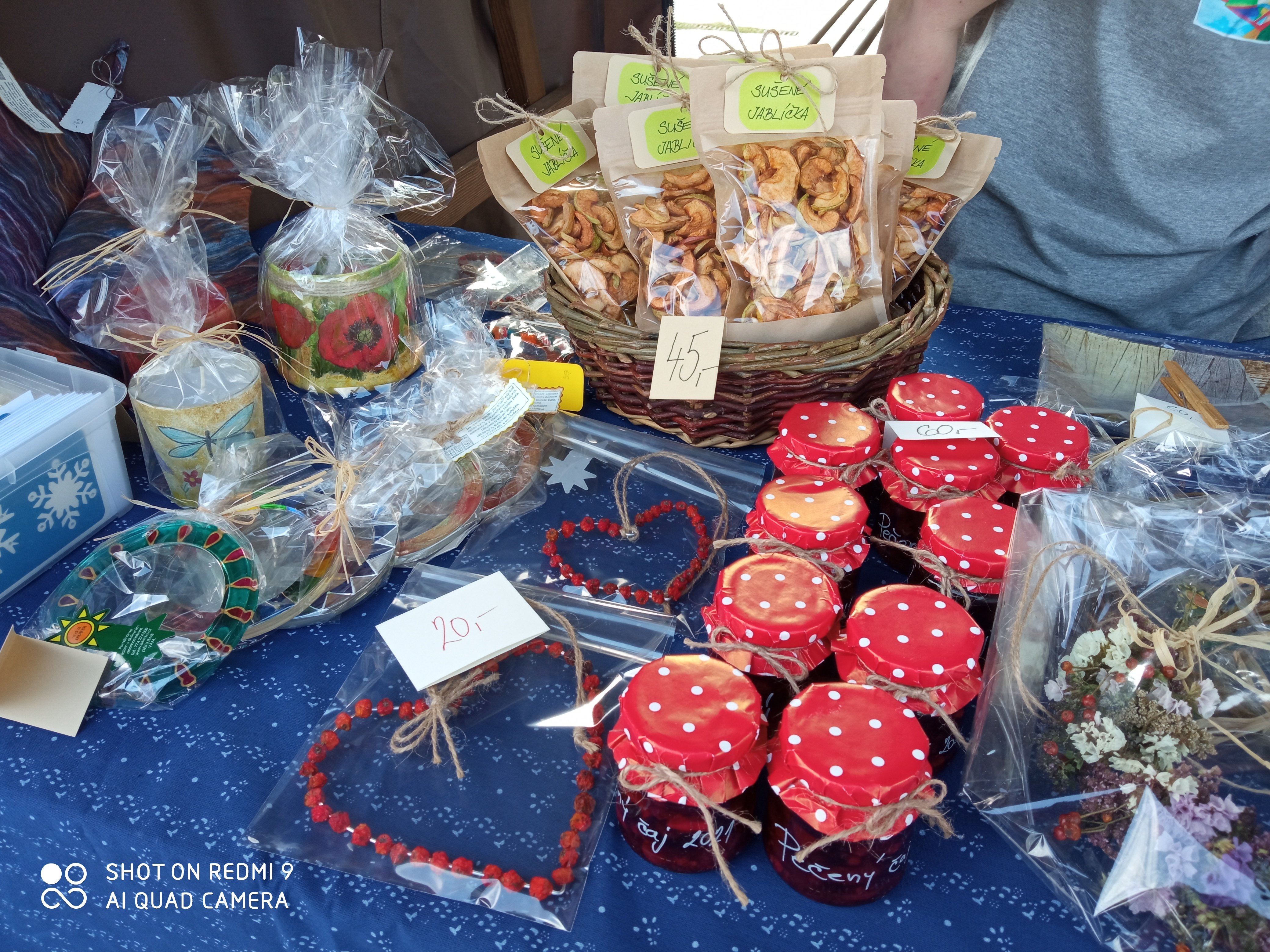 Iskérka - sociální rehabilitace, Sociální rehabilitace, Iskérka o.p.s.