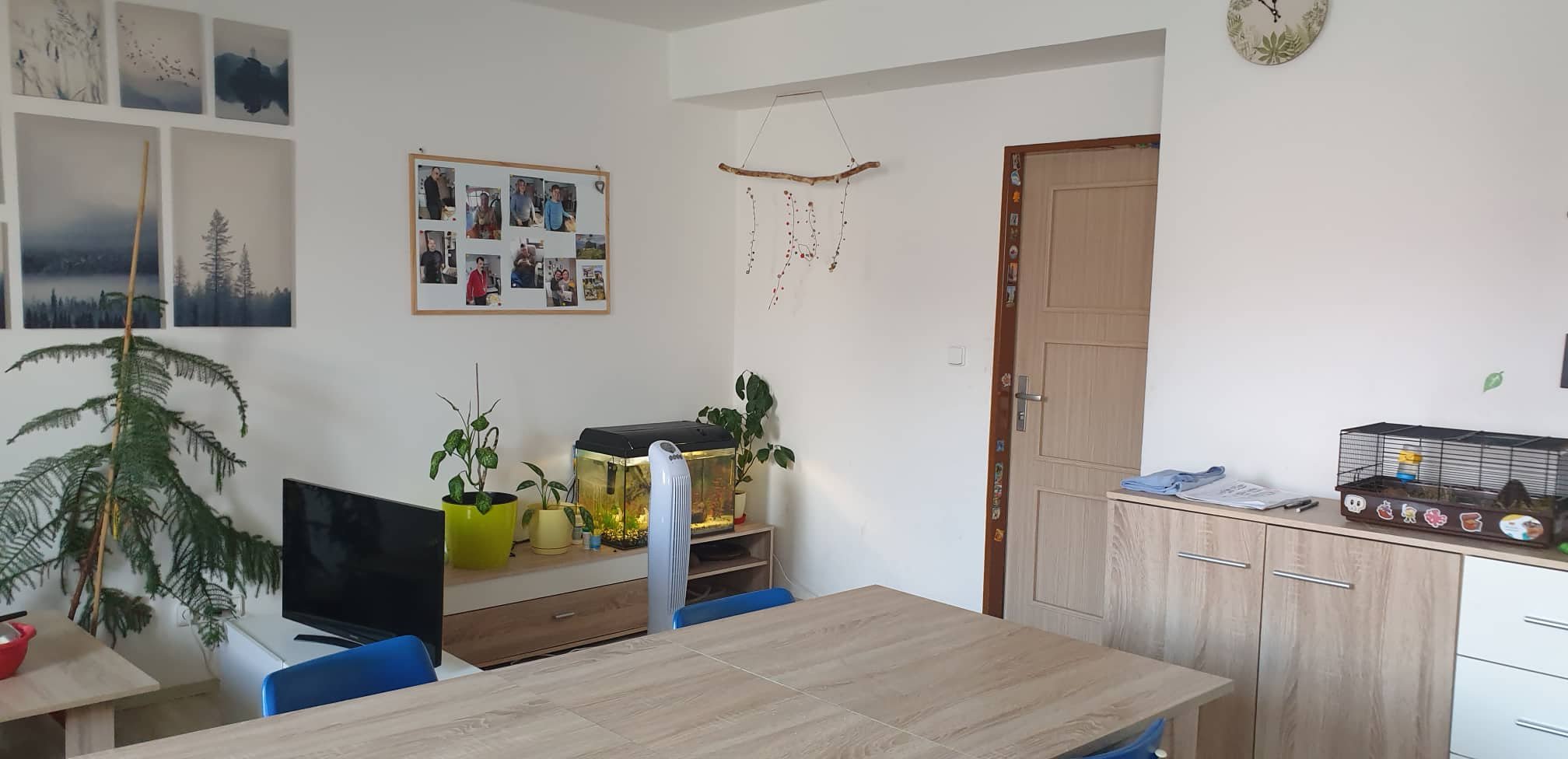 Centrum bydlení pro osoby se zdravotním postižením Uherský Brod, Chráněné bydlení, Sociální služby Olšava, příspěvková organizace